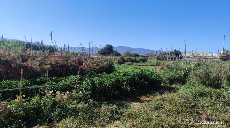 Granada - Ogíjares - 7000m2