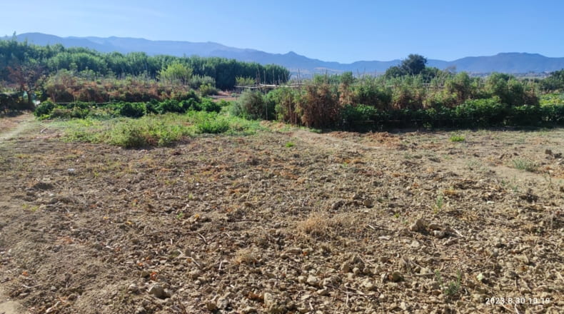 Granada - Ogíjares - 7000m2