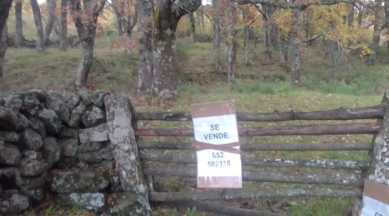 Soria - Covaleda - 1031m2