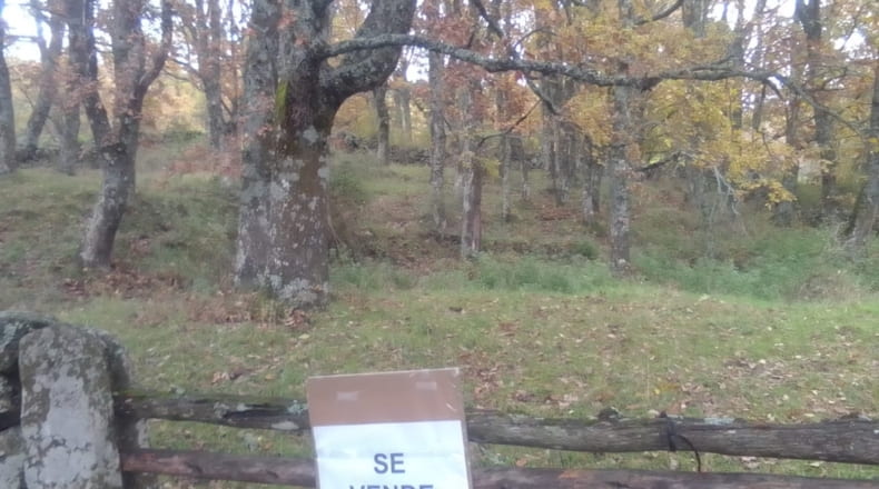 Soria - Covaleda - 1031m2