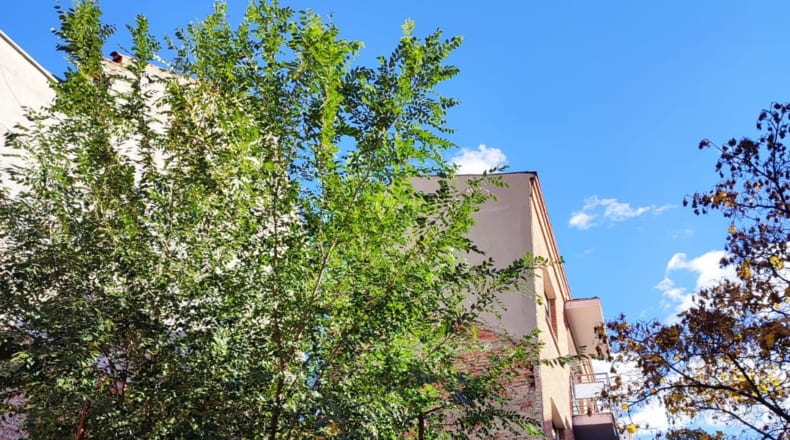 Comunidad de Madrid - Madrid - 161m2