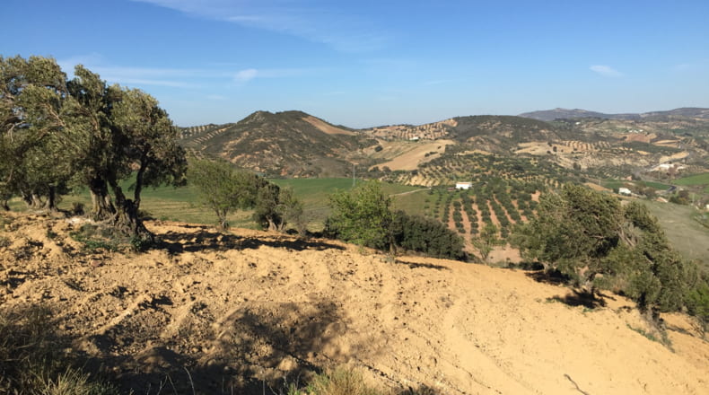 Málaga - Antequera - 17500m2
