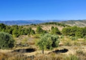 Земельный участок на продажу в городе Letur Фото