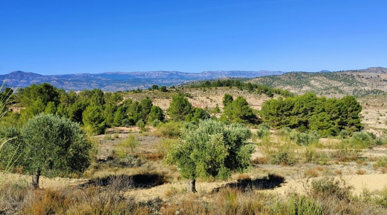 Albacete - Letur - 191m2