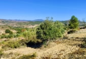 Земельный участок на продажу в городе Letur Фото