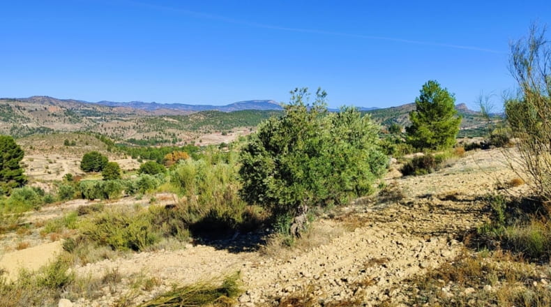 Albacete - Letur - 191m2