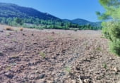 Земельный участок на продажу в городе Letur Фото