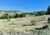 Земельный участок на продажу в городе Letur Фото