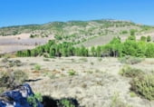 Земельный участок на продажу в городе Letur Фото