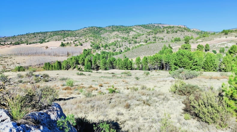 Albacete - Letur - 191m2