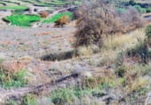 Земельный участок на продажу в городе Letur Фото