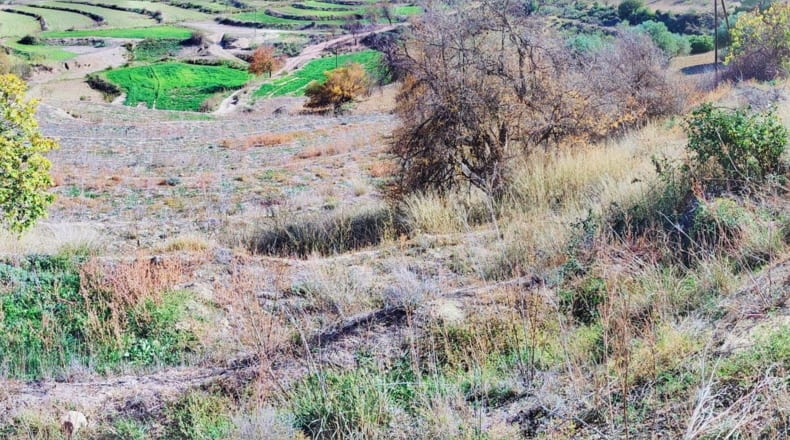 Albacete - Letur - 191m2