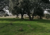Non-developable land for sale on Dehesa de Monflorido, Tejeda y Segoyuela, ref: TR97236 photo