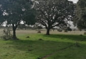 Non-developable land for sale on Dehesa de Monflorido, Tejeda y Segoyuela, ref: TR97236 photo