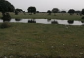 Non-developable land for sale on Dehesa de Monflorido, Tejeda y Segoyuela, ref: TR97236 photo
