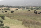 Non-developable land for sale on Dehesa de Monflorido, Tejeda y Segoyuela, ref: TR97236 photo