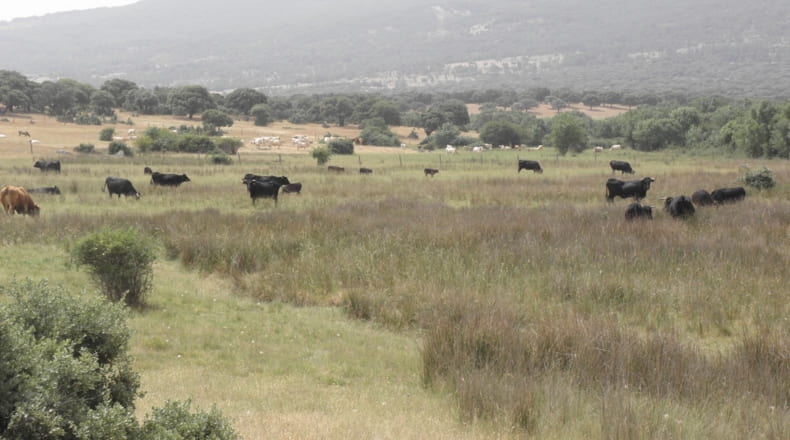 Salamanca - Tejeda y Segoyuela - 14372825m2
