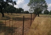 Non-developable land for sale on Dehesa de Monflorido, Tejeda y Segoyuela, ref: TR97236 photo