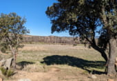 Non-developable land for sale on El Tejado - Terreno, La Magdalena, ref: TR97629 photo