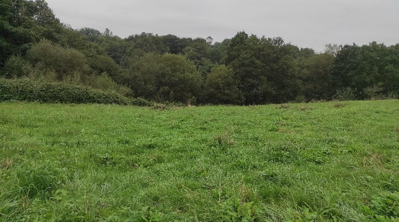 Asturias - San Roque - 18000m2