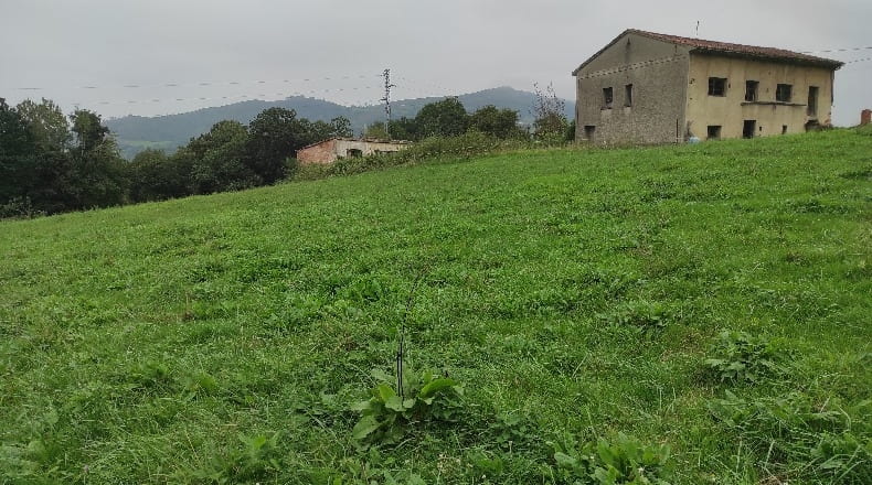 Asturias - San Roque - 18000m2