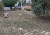 Parcel·la urbanitzable en venda a la Carrer de l'Oceà Atlàntic, Cunit, ref.: TR98014 foto