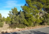Land suitable for development for sale on Partida Serramoca, l'Ametlla de Mar, ref: TR98302 photo