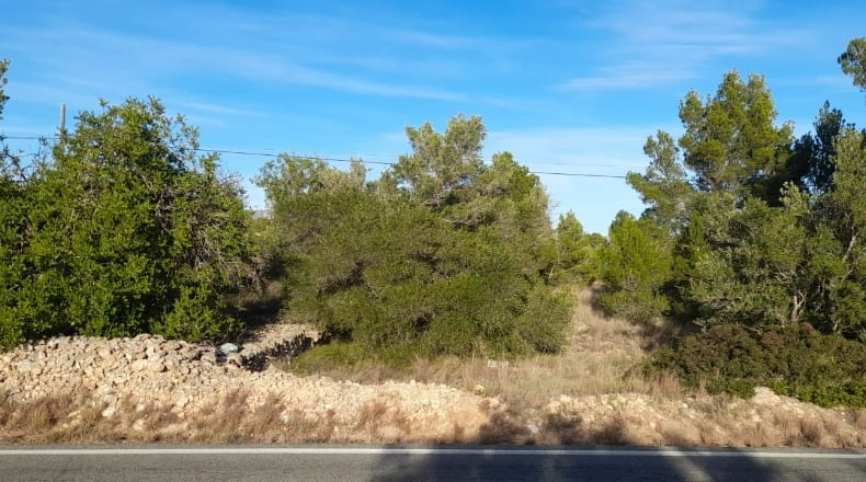 Tarragona - l'Ametlla de Mar - 16450m2