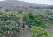 Finca rústica en venda a la Lugar Las Goteras, Santa Brígida, ref.: TR98310 foto