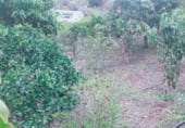 Finca rústica en venda a la Lugar Las Goteras, Santa Brígida, ref.: TR98310 foto