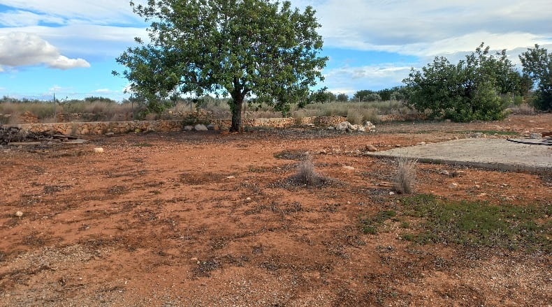 Valencia - Cheste - 9778m2