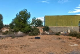 Foto 4