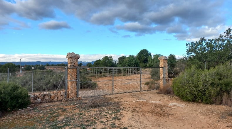 Valencia - Cheste - 9778m2