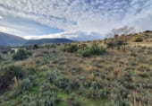 Non-developable land for sale on Fuente Blanquilla, Lozoyuela, ref: TR57787 photo