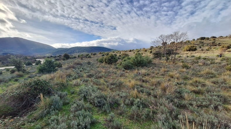 Comunidad de Madrid - Lozoyuela - 1445m2
