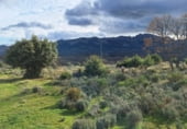 Non-developable land for sale on Fuente Blanquilla, Lozoyuela, ref: TR57787 photo