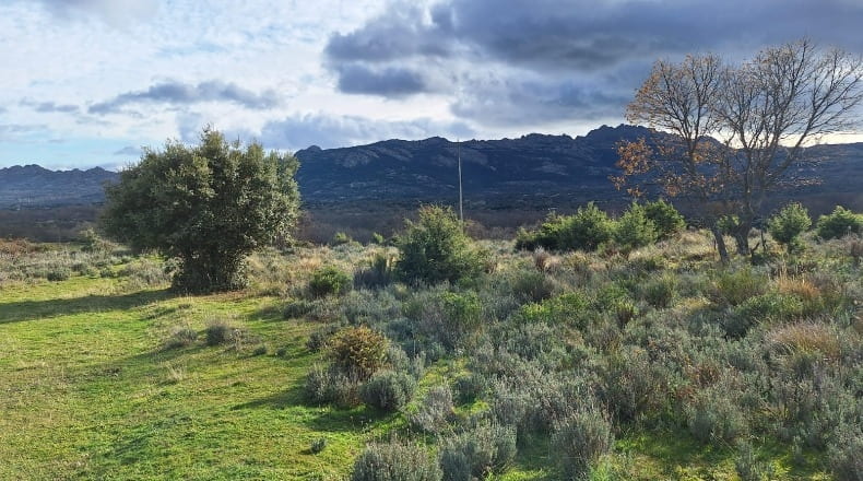 Comunidad de Madrid - Lozoyuela - 1445m2
