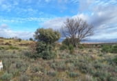 Non-developable land for sale on Fuente Blanquilla, Lozoyuela, ref: TR57787 photo