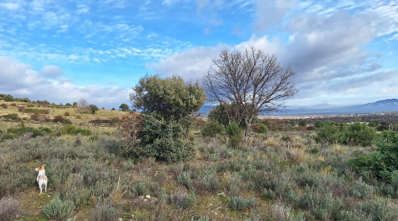 Comunidad de Madrid - Lozoyuela - 1445m2