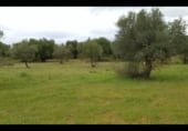 Parcel·la urbanitzable en venda a la MA-3303, Coín, ref.: TR98560 foto