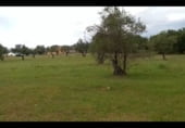 Parcel·la urbanitzable en venda a la MA-3303, Coín, ref.: TR98560 foto