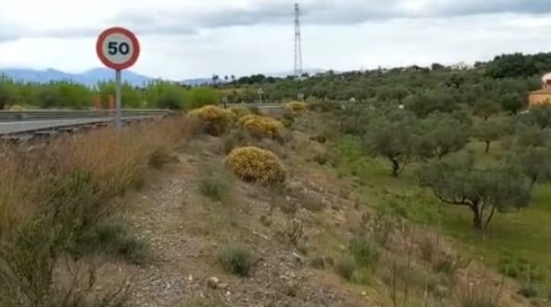Málaga - Coín - 19132m2