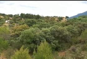 Foto 15