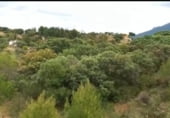 Parcel·la urbanitzable en venda a la MA-3303, Coín, ref.: TR98560 foto