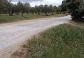 Parcel·la urbanitzable en venda a la MA-3303, Coín, ref.: TR98560 foto