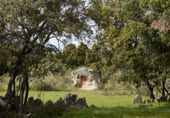 Non-developable land for sale on CAMINO A CHAPINERIA S/N, Colmenar del Arroyo, ref: TR98562 photo