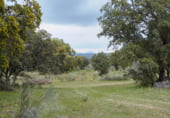 Non-developable land for sale on CAMINO A CHAPINERIA S/N, Colmenar del Arroyo, ref: TR98562 photo