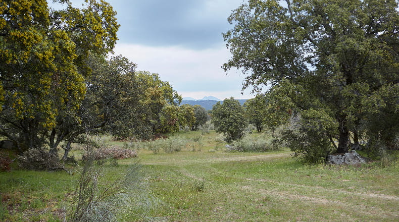 Comunidad de Madrid - Colmenar del Arroyo - 474366m2