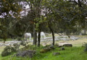 Non-developable land for sale on CAMINO A CHAPINERIA S/N, Colmenar del Arroyo, ref: TR98562 photo