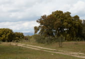 Non-developable land for sale on CAMINO A CHAPINERIA S/N, Colmenar del Arroyo, ref: TR98562 photo